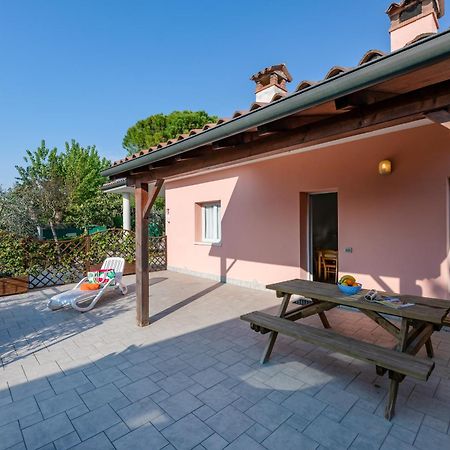 Le Palme Camping & Village Лацизе Номер фото